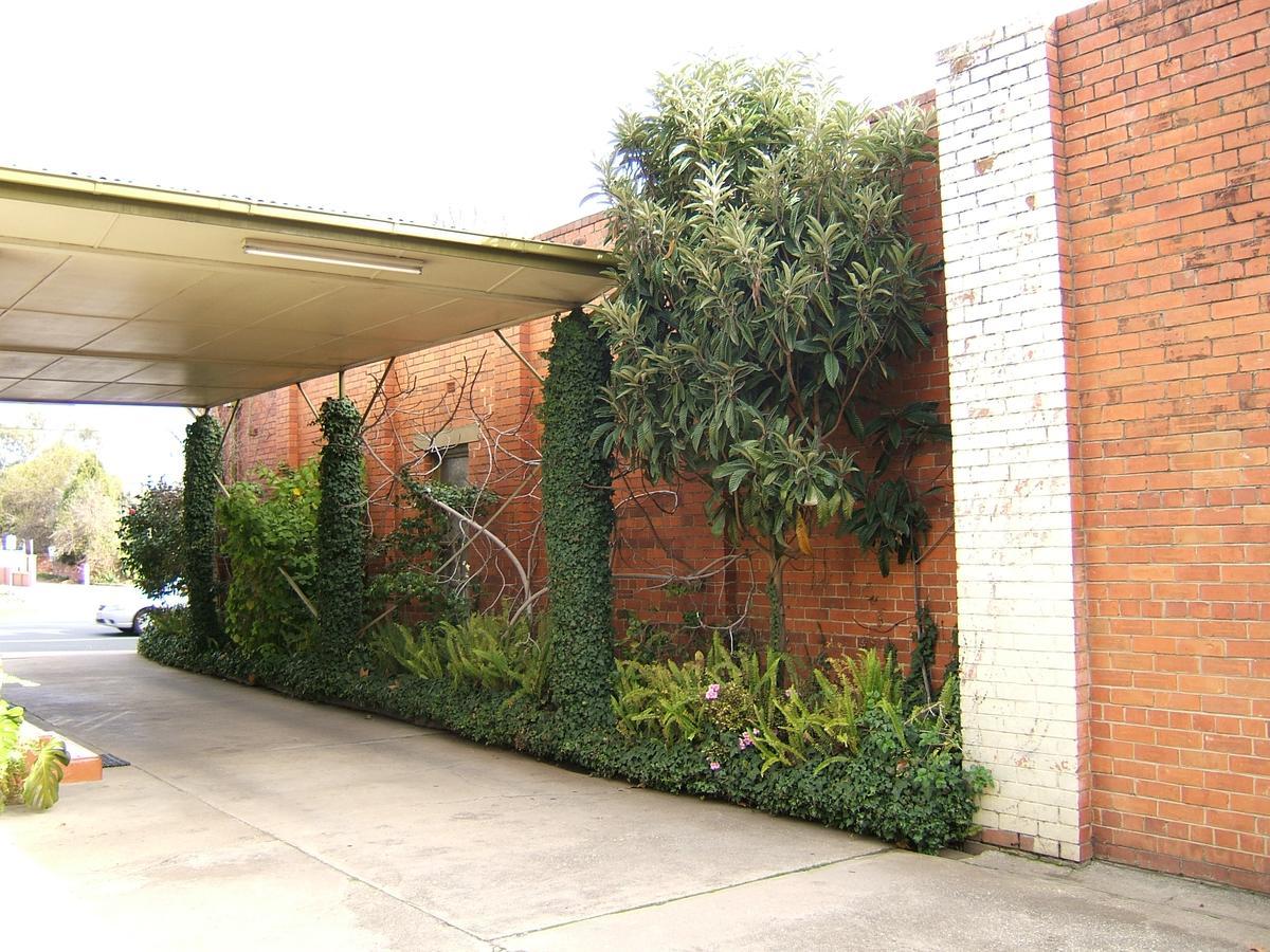 Clifton Motel Albury Buitenkant foto